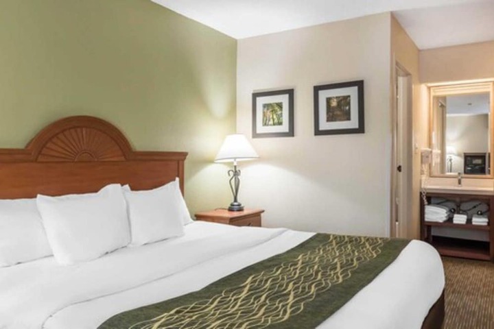 Comfort Inn Pine Grove I-81 Hershey Area