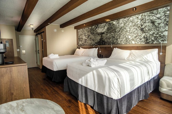 Room 20 of 80