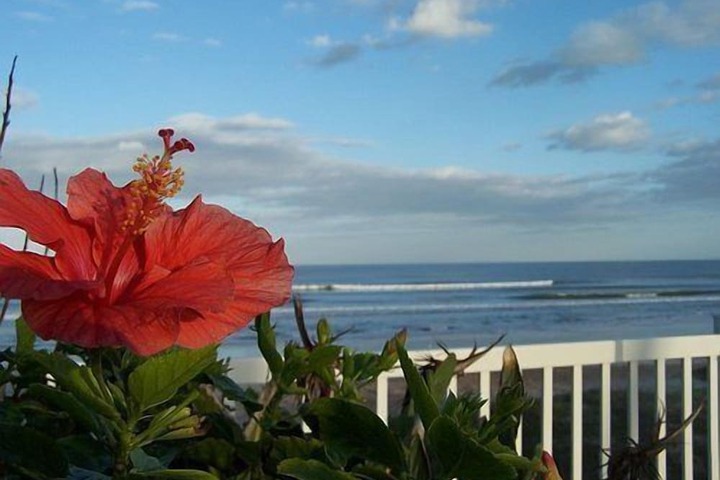 Coral Sands Inn