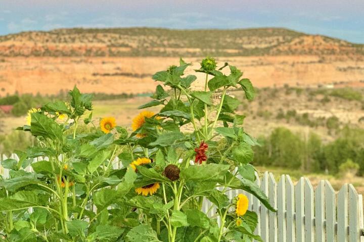 Annies Place Bed & Breakfast