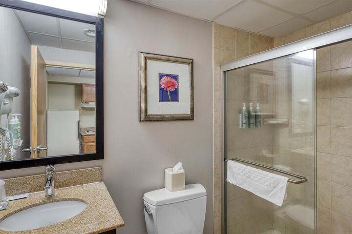 Best Western Owego Inn