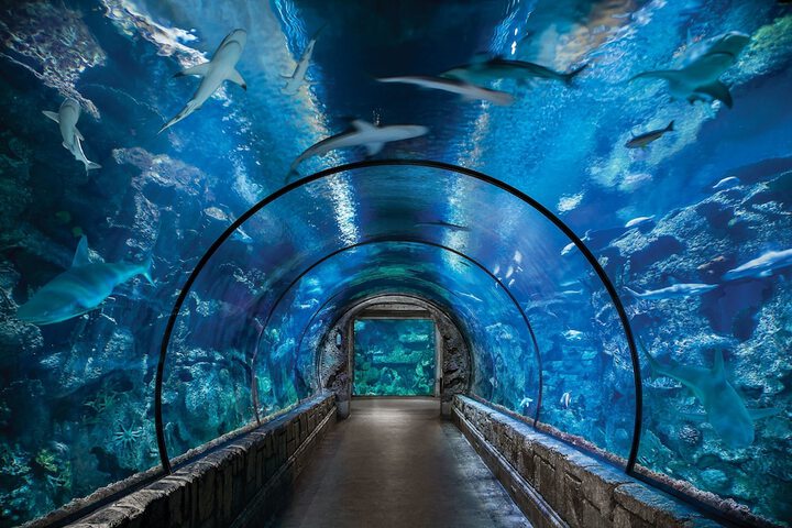 Mandalay Bay Resort & Casino
