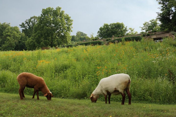 The Inn at Honey Run