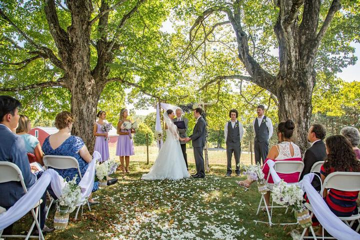 Wedding/Banquet 173 of 191