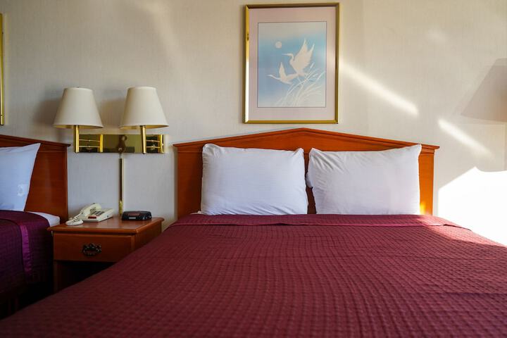 Room 23 of 54