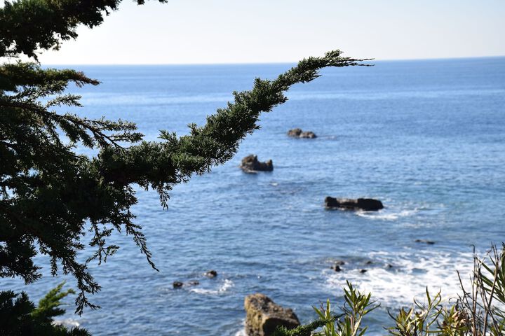 Beach 16 of 17