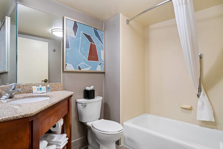 Comfort Inn Cadillac