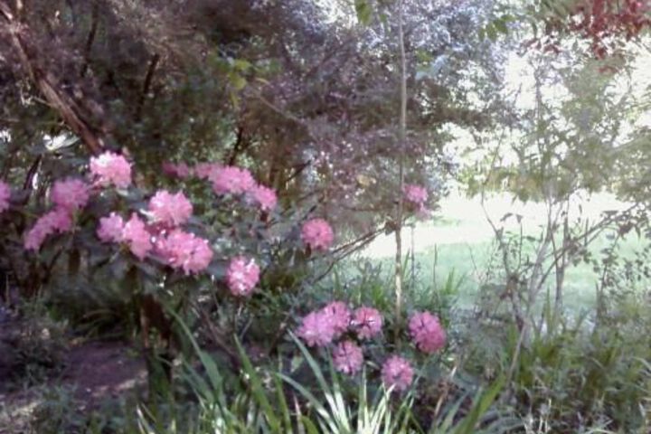FAIRVIEW MANOR BED AND BREAKFAST