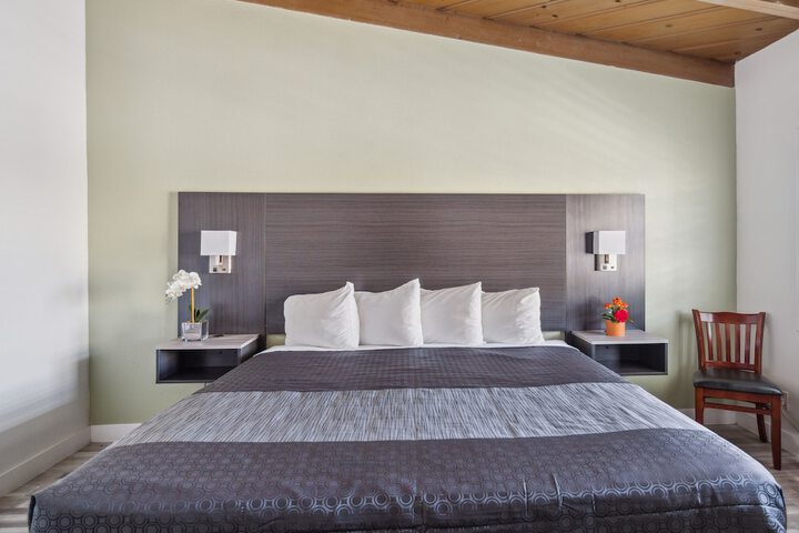 Discovery Inn