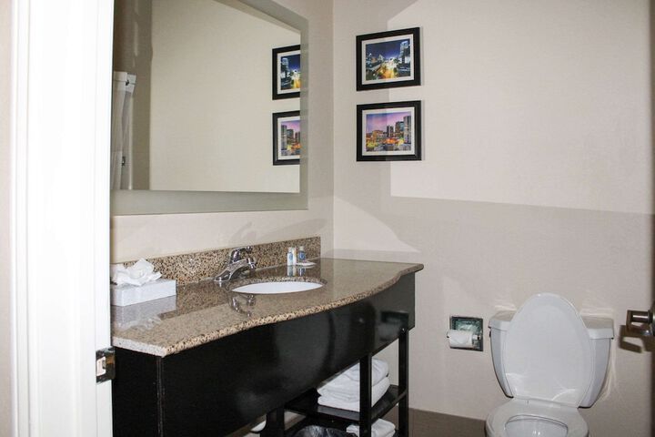 Comfort Inn & Suites Fultondale Gardendale I-65