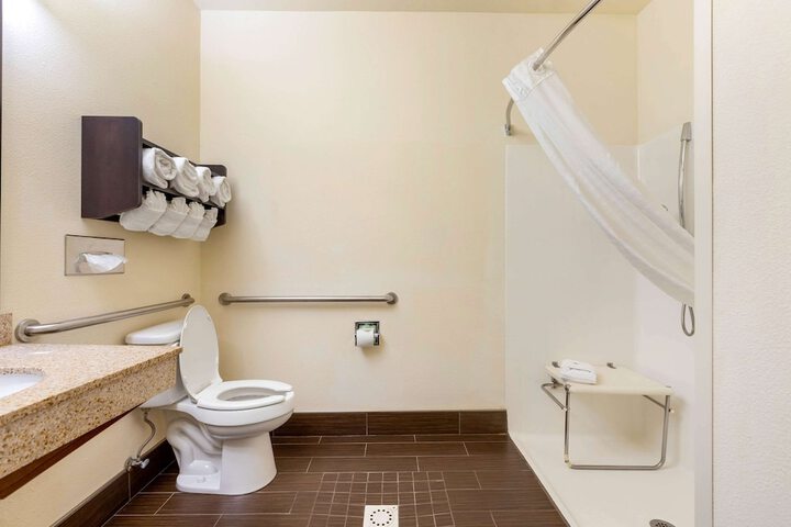 Comfort Suites Stevensville - St. Joseph