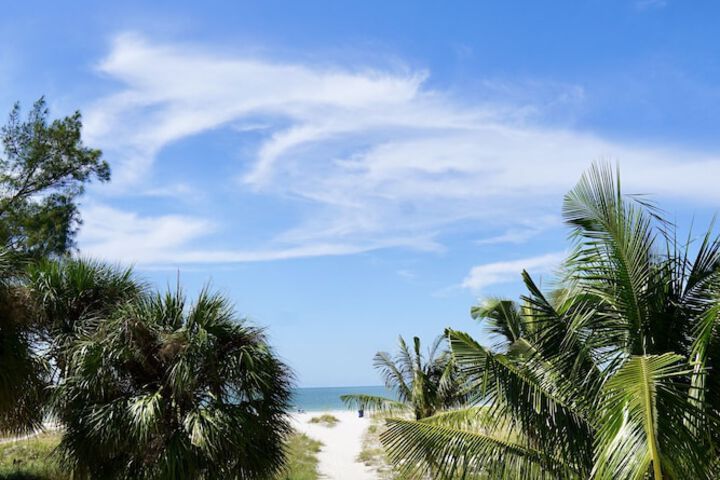 Beach 54 of 66