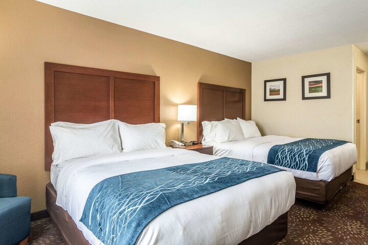 Comfort Inn & Suites - Hannibal