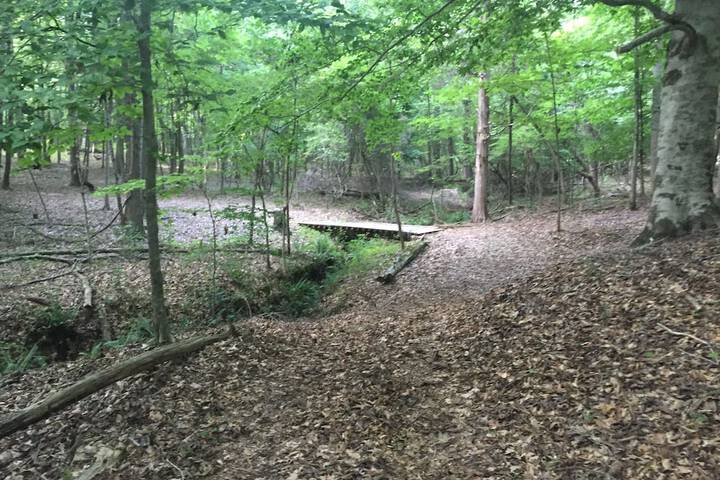 Property Grounds 58 of 58