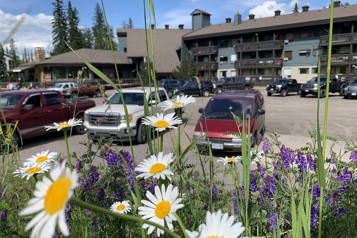 The Griz Inn