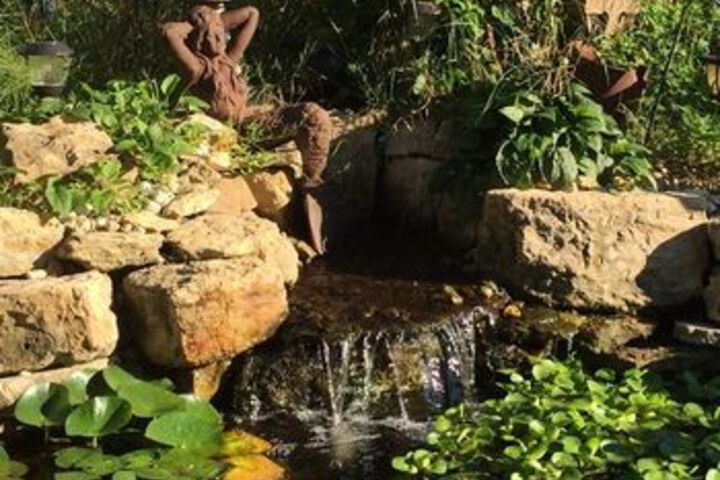Dragonfly Bed and Breakfast
