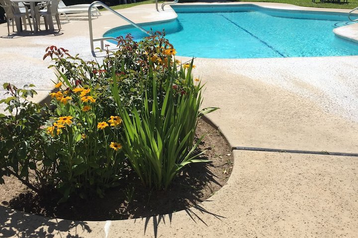 Pool 16 of 66