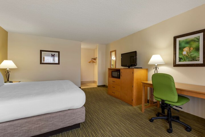 Room 38 of 44