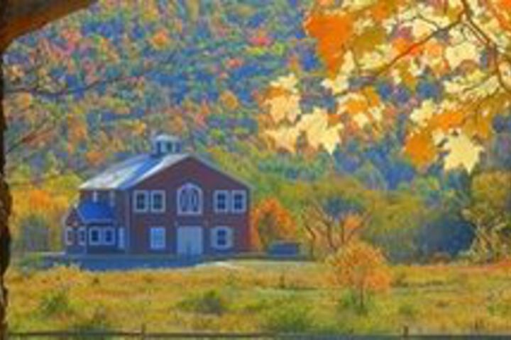 Mountain Horse Farm
