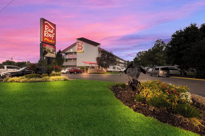 Hotel 4 of 35
