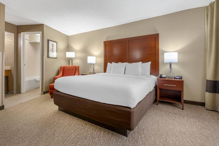Comfort Inn Memphis Downtown