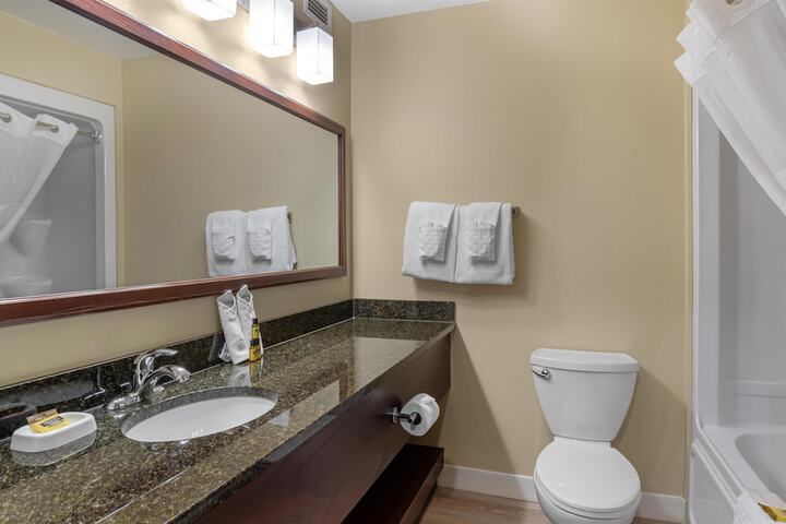 Best Western Plus Fredericton Hotel & Suites