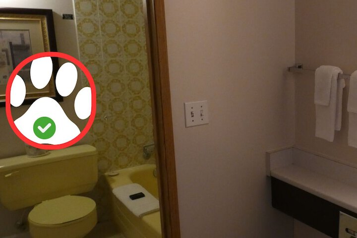 Room 33 of 40