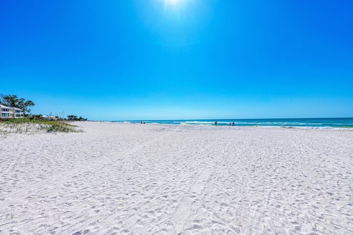 Anna Maria Island Beach Palms 5B