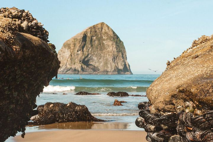 Inn at Cape Kiwanda
