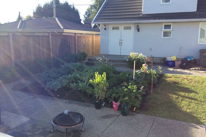 Terrace/Patio 58 of 61