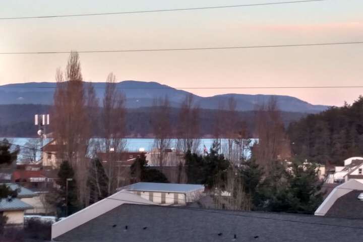 Friday Harbor Grand B & B