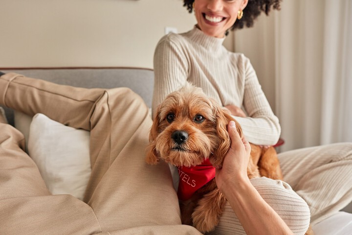 Pet Friendly 62 of 63