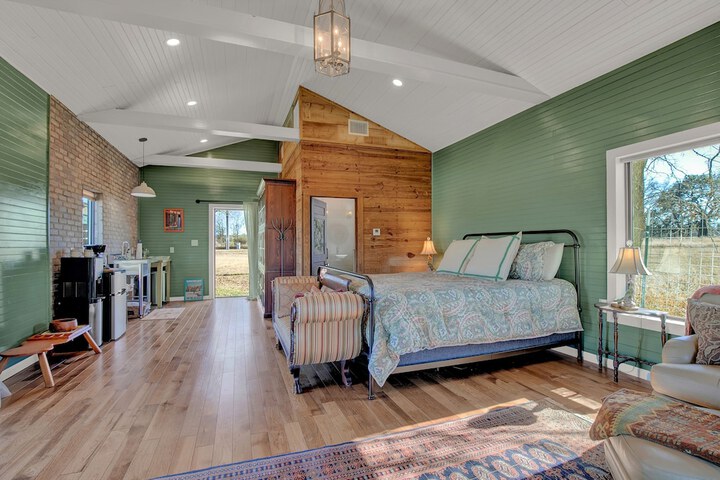 Stunning Home-right Across From Albert Dance Hall!