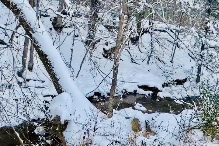 Bear Inn Retreat