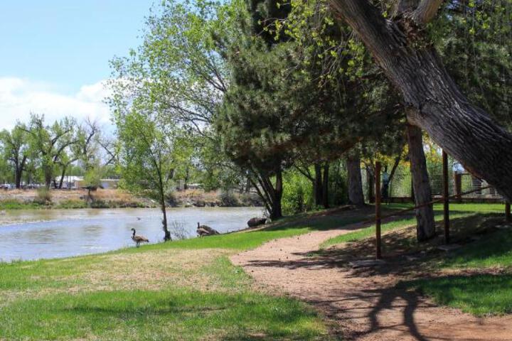 Riverwood Resort on the Gunnison