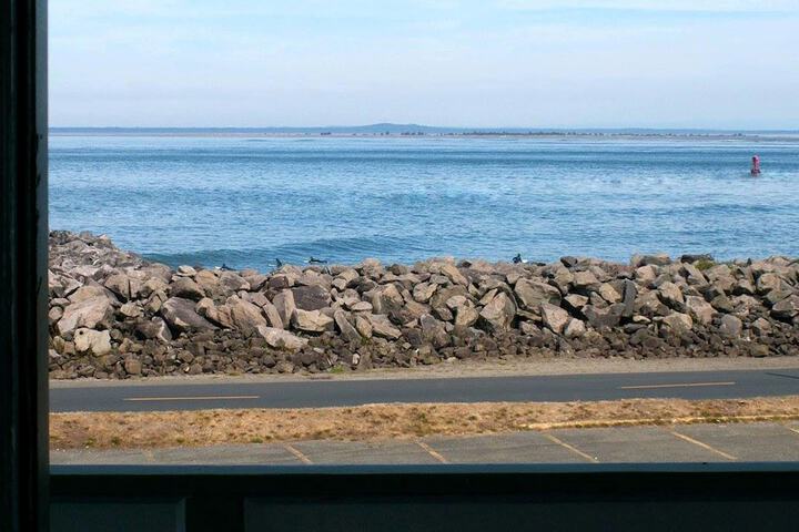 Islander Westport
