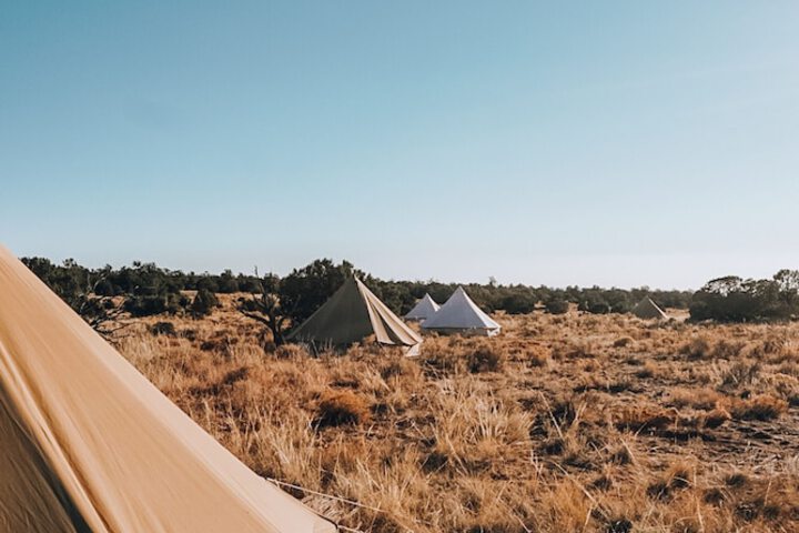 Wander Camp Grand Canyon