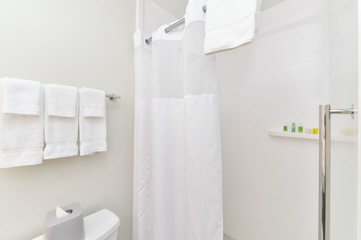 Holiday Inn Express New Orleans - Arts District by IHG
