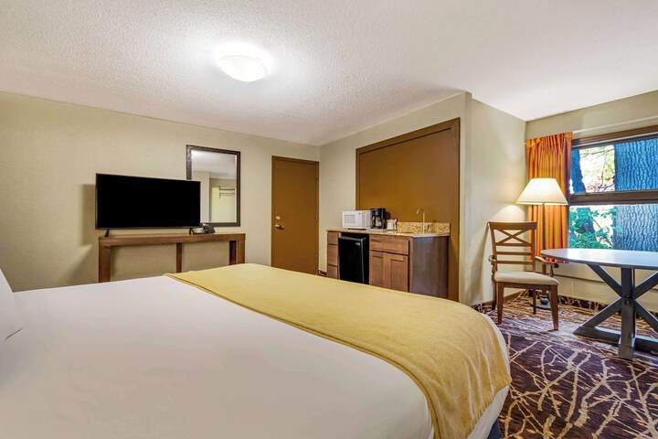 Room 51 of 61