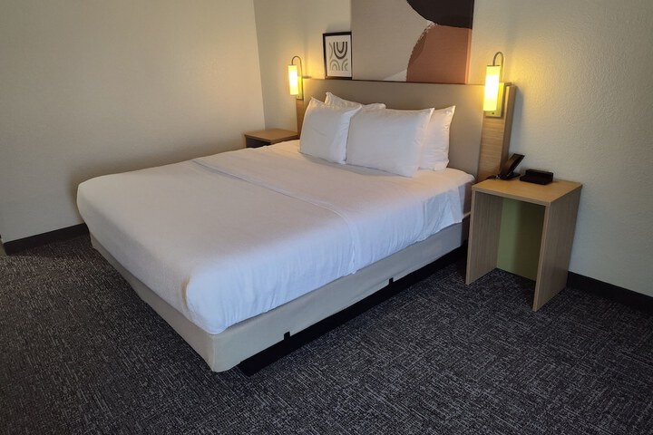 Spark by Hilton Stevensville