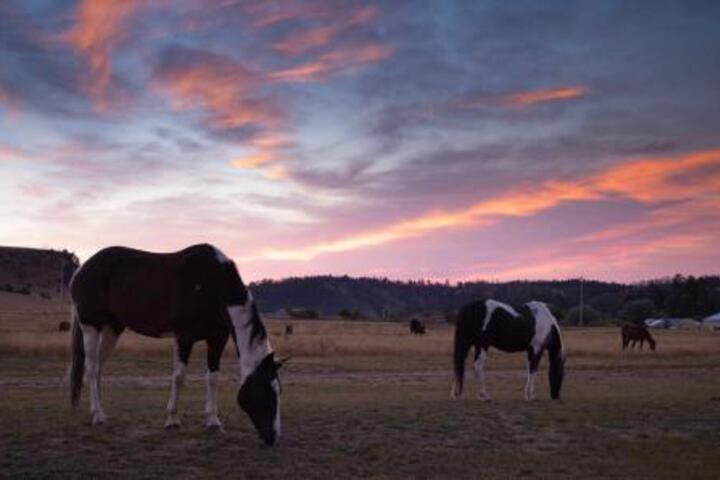 Kara Creek Ranch