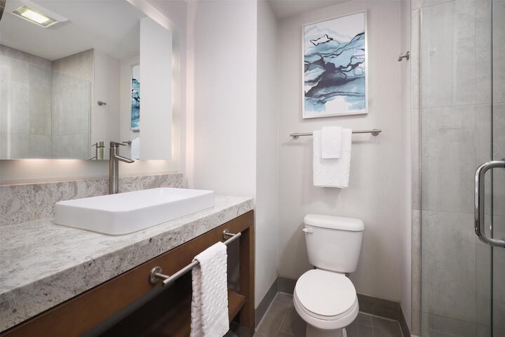 Best Western Premier Hotel at Fishers Landing