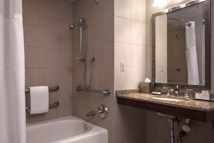 Hilton Anatole