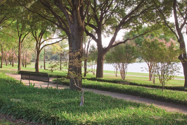 DoubleTree by Hilton Dallas - Farmers Branch