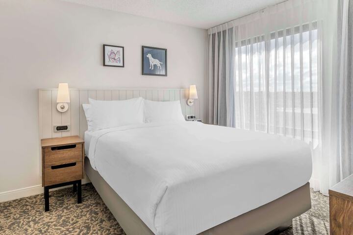 Room 30 of 42