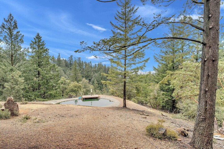 Mountain Homestead: Swim Hike, & Camp On-site!