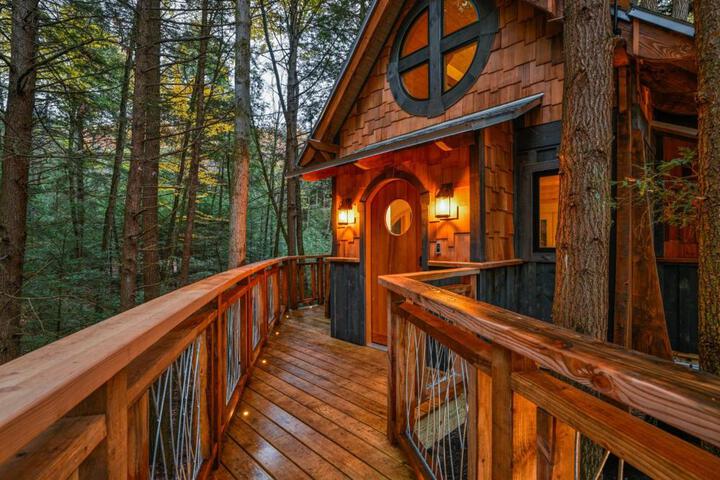 Enchanted Evergreen