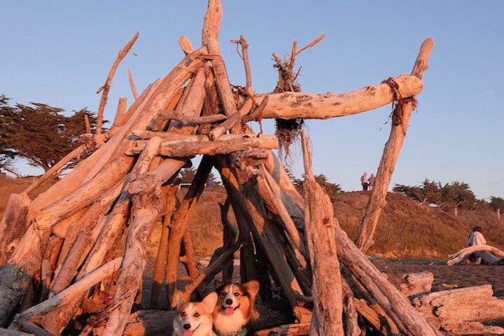 Fireside Inn on Moonstone Beach