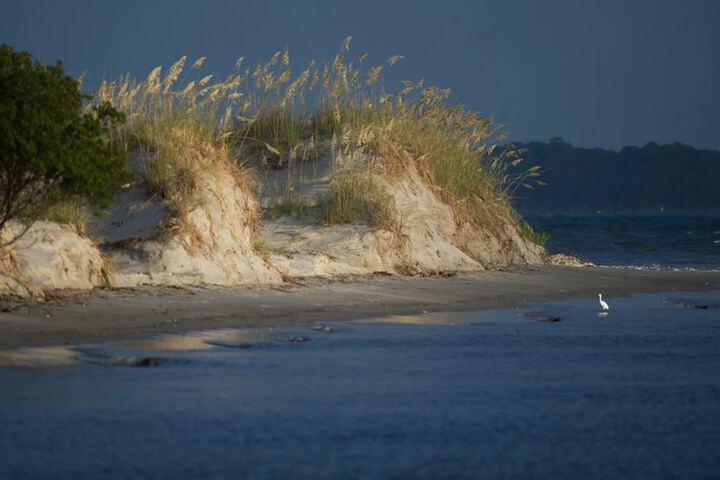 Holiday Inn Resort Jekyll Island by IHG