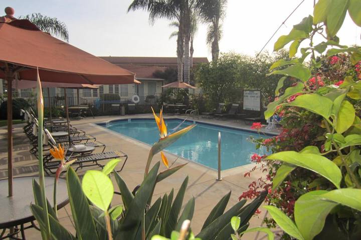 Pool 12 of 59